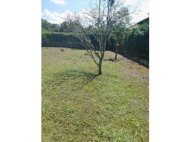  Land for sale in Palmira, Valle Del Cauca, Palmira