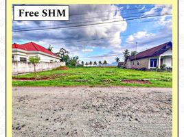  Land for sale in Banyuwangi, East Jawa, Gambiran, Banyuwangi