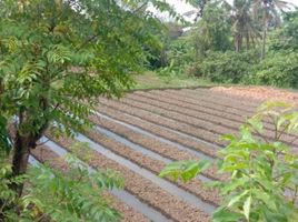  Terrain for sale in Ginyar, Gianyar, Ginyar