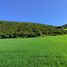  Land for sale in Calacali, Pichincha, Calacali