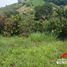  Land for sale in Pereira, Risaralda, Pereira