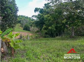  Land for sale in Pereira, Risaralda, Pereira