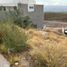  Grundstück zu verkaufen in San Luis Potosi, San Luis Potosi, San Luis Potosi, San Luis Potosi
