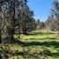  Terreno (Parcela) en venta en Ñuble, Chillan, Diguillín, Ñuble