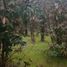  Terreno (Parcela) en venta en Ñuble, Chillan, Diguillín, Ñuble