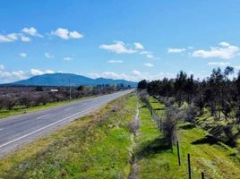  Terreno (Parcela) en venta en Ñuble, Chillan, Diguillín, Ñuble