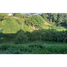  Land for sale in La Tebaida, Quindio, La Tebaida