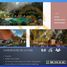 1 Schlafzimmer Wohnung zu verkaufen in Cozumel, Quintana Roo, Cozumel, Quintana Roo
