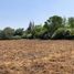  Terreno (Parcela) en venta en Colina, Chacabuco, Colina