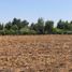  Terreno (Parcela) en venta en Colina, Chacabuco, Colina