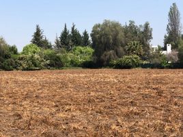  Terreno (Parcela) en venta en Colina, Chacabuco, Colina