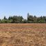  Terreno (Parcela) en venta en Colina, Chacabuco, Colina