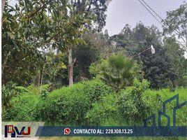  Grundstück zu verkaufen in Xico, Veracruz, Xico