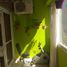 2 Bedroom Apartment for sale in Rosario, Santa Fe, Rosario, Santa Fe