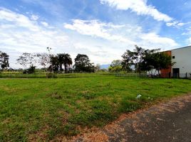  Land for sale in Jamundi, Valle Del Cauca, Jamundi