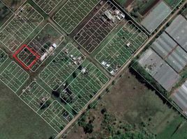  Land for sale in La Plata, Buenos Aires, La Plata