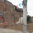  Land for rent in Guasave Sinaloa, Guasave