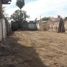 Land for rent in Guasave Sinaloa, Guasave