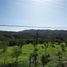  Land for sale in Valparaiso, Quilpue, Valparaiso, Valparaiso