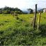  Land for sale in Pereira, Risaralda, Pereira