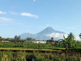  Terreno (Parcela) en venta en Pakem, Yogyakarta, Pakem