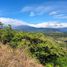  Grundstück zu verkaufen in Boquete, Chiriqui, Alto Boquete