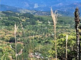  Terreno (Parcela) en venta en Alto Boquete, Boquete, Alto Boquete