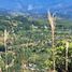  Land for sale in Alto Boquete, Chiriqui, Alto Boquete, Boquete