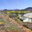  Land for sale in Petatlan, Guerrero, Petatlan