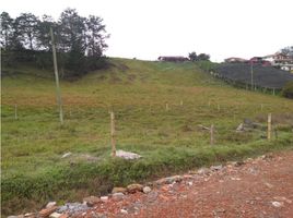  Land for sale in El Carmen De Viboral, Antioquia, El Carmen De Viboral