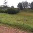  Land for sale in El Carmen De Viboral, Antioquia, El Carmen De Viboral