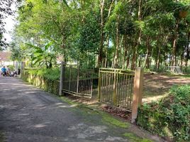  Land for sale in Yogyakarta, Pakem, Sleman, Yogyakarta