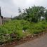  Land for sale in Yogyakarta, Pakem, Sleman, Yogyakarta