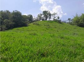  Land for sale in Tamesis, Antioquia, Tamesis