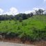  Land for sale in Tamesis, Antioquia, Tamesis