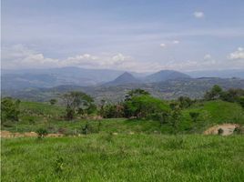  Grundstück zu verkaufen in Tamesis, Antioquia, Tamesis