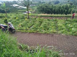  Land for sale in Bumiaji, Malang Regency, Bumiaji