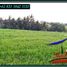  Land for sale in Selemadeg, Tabanan, Selemadeg