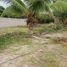  Land for sale in San Vicente, Manabi, San Vicente, San Vicente