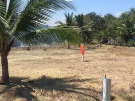  Land for sale in San Vicente, Manabi, San Vicente, San Vicente