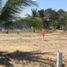  Land for sale in San Vicente Manabi, San Vicente, San Vicente