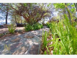  Land for sale in Lagos De Moreno, Jalisco, Lagos De Moreno