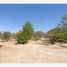  Land for sale in Lagos De Moreno, Jalisco, Lagos De Moreno