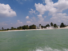  Grundstück zu verkaufen in Celestun, Yucatan, Celestun