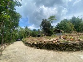  Land for sale in Bantul, Yogyakarta, Sedayu, Bantul