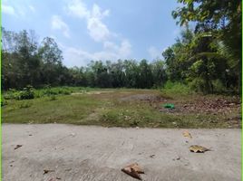  Land for sale in Bantul, Yogyakarta, Sedayu, Bantul