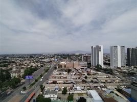 1 Habitación Apartamento en venta en Santiago, Santiago, Santiago, Santiago