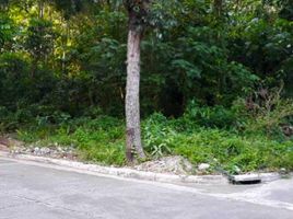  Terreno (Parcela) en venta en Cebu City, Central Visayas, Cebu City, Cebu, Central Visayas, Filipinas