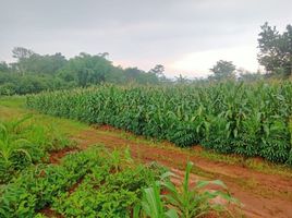  Grundstück zu verkaufen in Bandung, West Jawa, Cileunyi