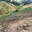  Land for sale in Pereira, Risaralda, Pereira